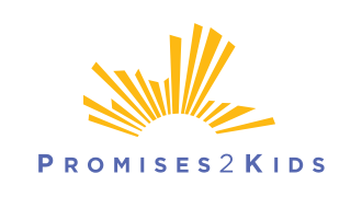 p2k logo resize