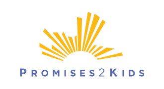 p2k logo resize