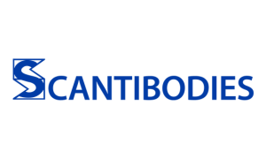 scantibodies
